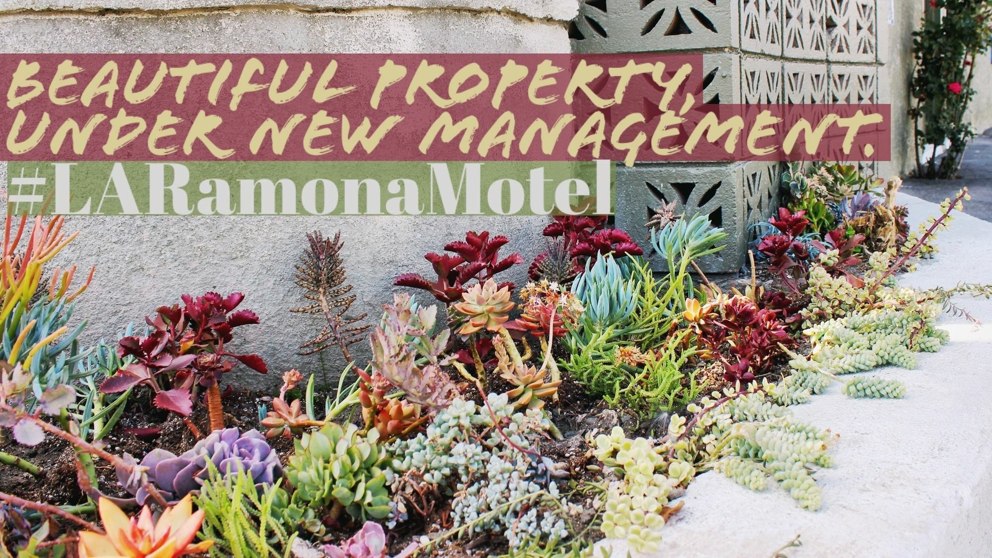 Ramona Motel Los Angeles Buitenkant foto
